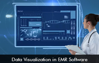 Data Visualization in EMR Software