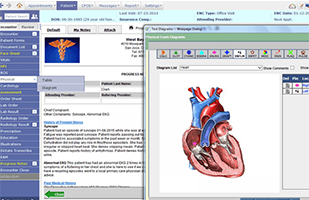 PrognoCIS EMR Software EHR and Practice Management Software