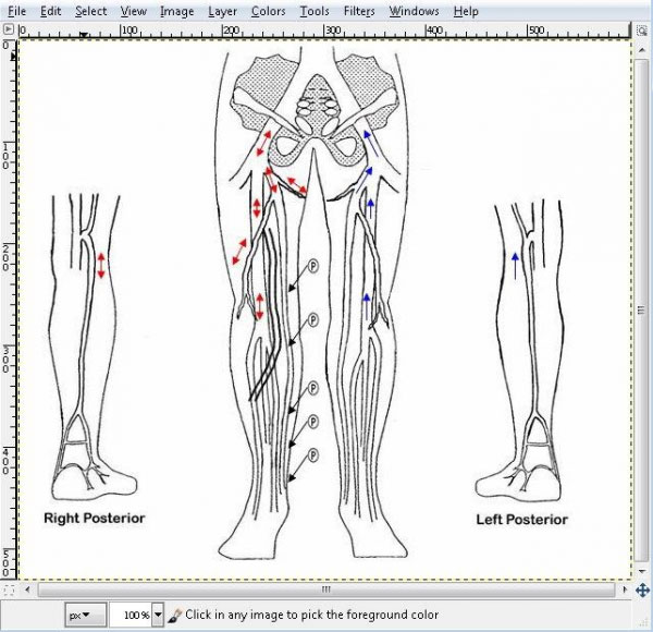 Sonosoft EMR Software EHR and Practice Management Software