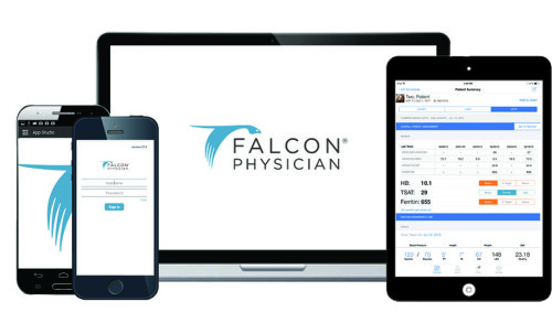 Falcon Silver EHR Software EHR and Practice Management Software
