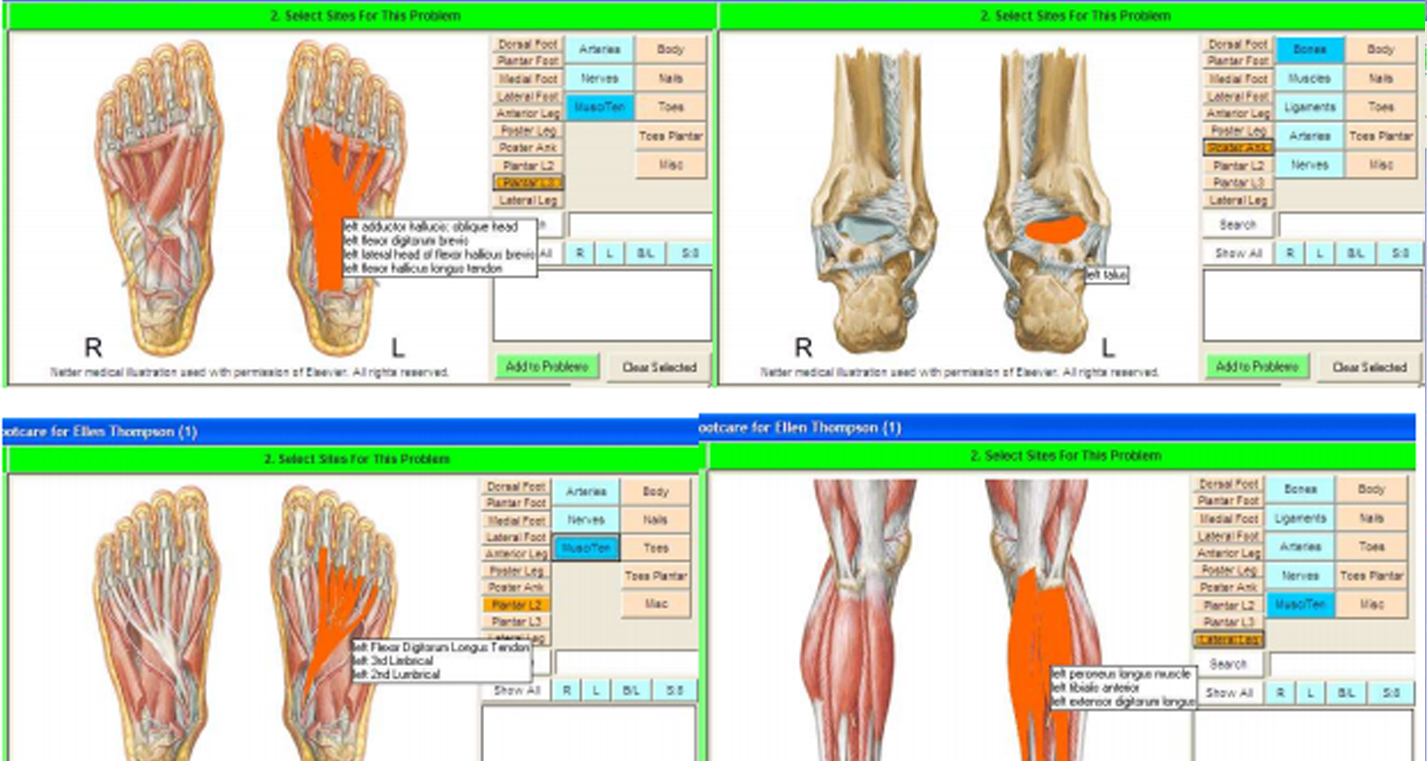 ICS SammyEHR Software and patient portal