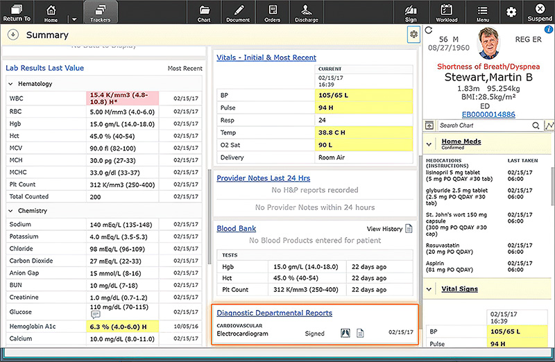 Therapy Charting Software