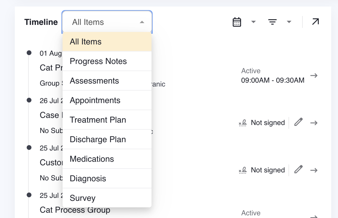 Lightning Step Behavioral Health EMR Software EHR and Practice Management Software