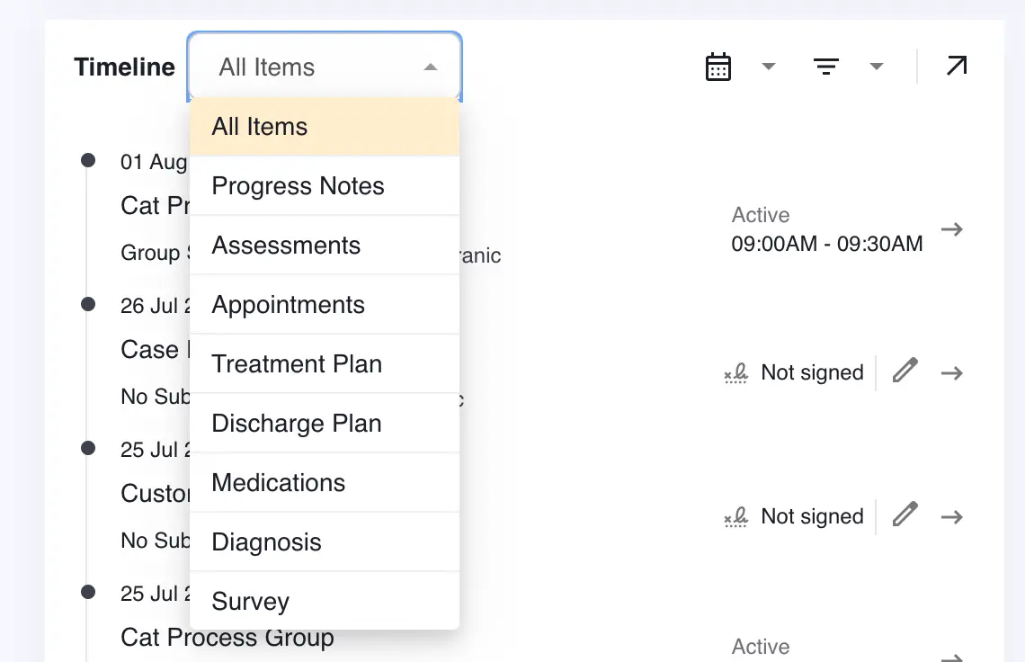 Lightning Step Behavioral Health EMR Software EHR and Practice Management Software