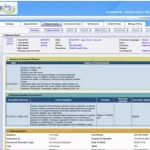 EHR-24-7-EMR-Software-by-Office-Ally-Patient-Chart